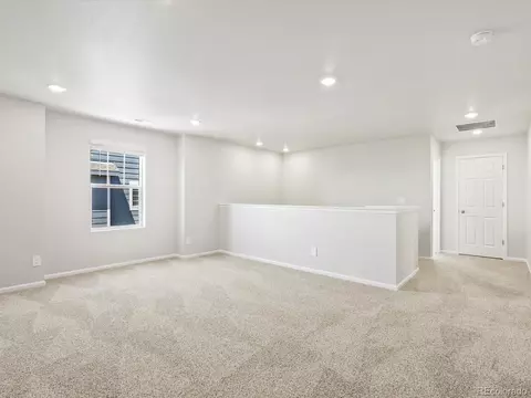 17478 E 90th Pl, Commerce City, CO 80022 photo 17