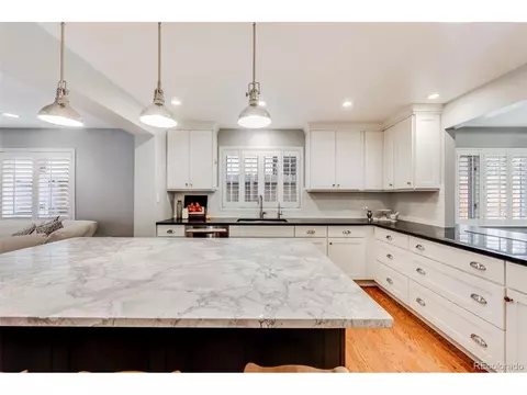 170 Grape St, Denver, CO 80220 photo 10