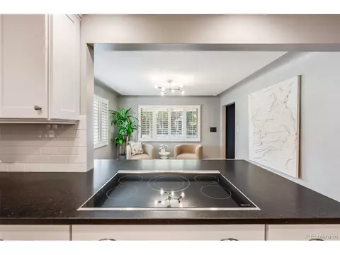 170 Grape St, Denver, CO 80220 photo 16