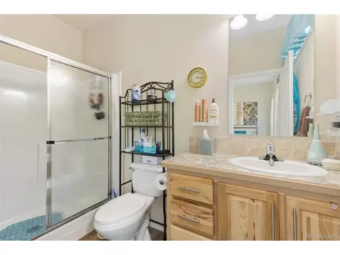 6125 Mallow Grn, Frederick, CO 80530 photo 18