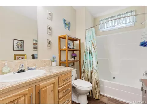 6125 Mallow Grn, Frederick, CO 80530 photo 16