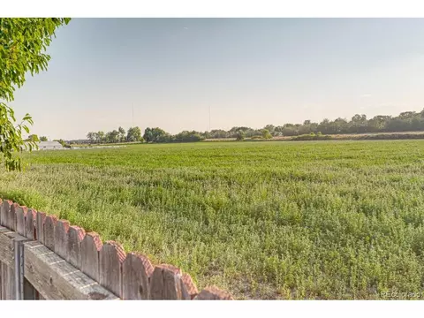 10137 Eudora Ct, Thornton, CO 80229 photo 20