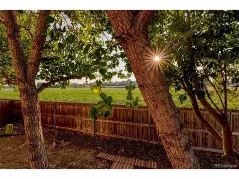10137 Eudora Ct, Thornton, CO 80229 photo 21