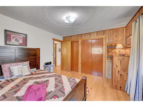 16 Doe Cir, Bailey, CO 80421 photo 10
