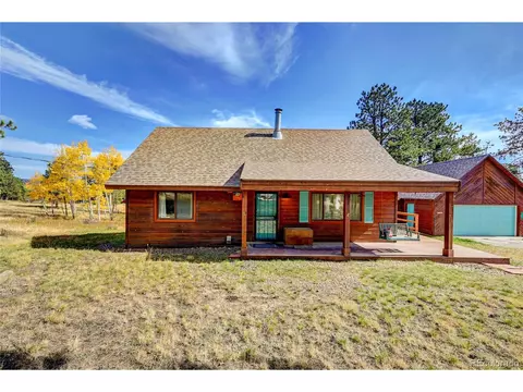 16 Doe Cir, Bailey, CO 80421 photo 21