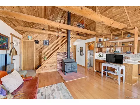16 Doe Cir, Bailey, CO 80421 photo 4