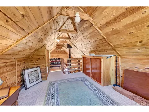 16 Doe Cir, Bailey, CO 80421 photo 16