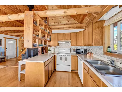 16 Doe Cir, Bailey, CO 80421 photo 7