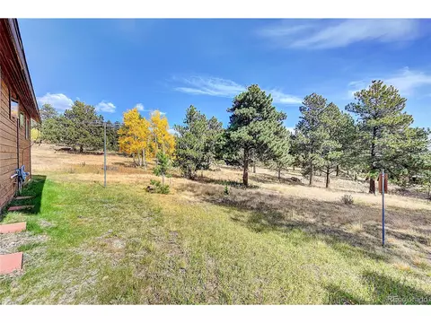 16 Doe Cir, Bailey, CO 80421 photo 22