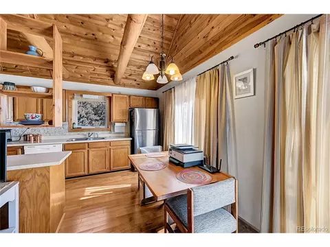 16 Doe Cir, Bailey, CO 80421 photo 5