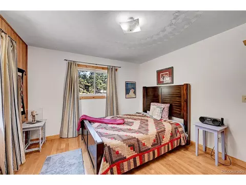 16 Doe Cir, Bailey, CO 80421 photo 9