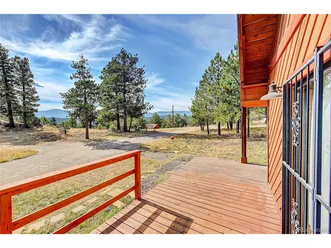 16 Doe Cir, Bailey, CO 80421 photo 20