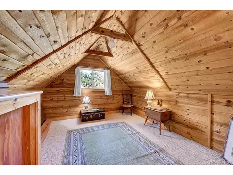16 Doe Cir, Bailey, CO 80421 photo 14