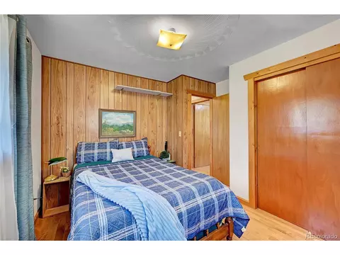 16 Doe Cir, Bailey, CO 80421 photo 12