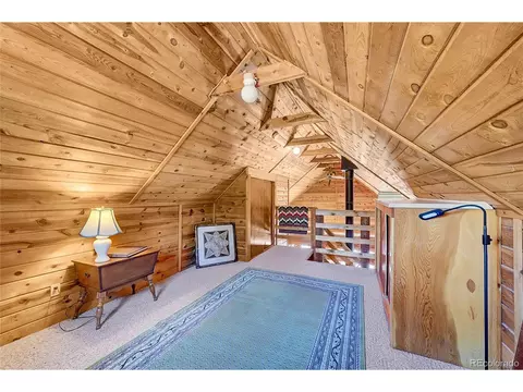 16 Doe Cir, Bailey, CO 80421 photo 15
