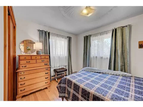 16 Doe Cir, Bailey, CO 80421 photo 11