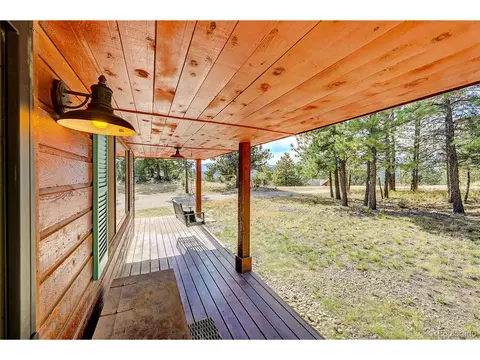 16 Doe Cir, Bailey, CO 80421 photo 17