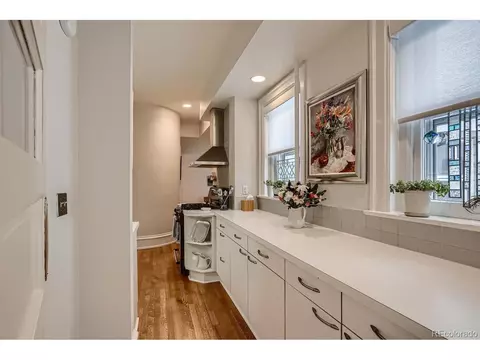 836 E 17th Ave #2B, Denver, CO 80218 photo 19