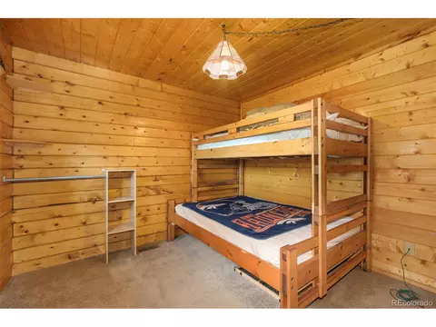 175 Gross Rd, Bailey, CO 80421 photo 9