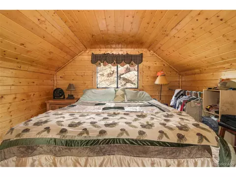 175 Gross Rd, Bailey, CO 80421 photo 14