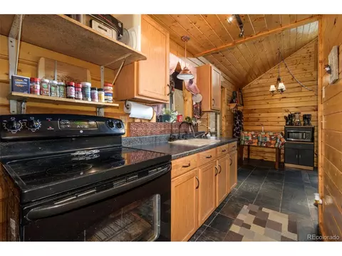 175 Gross Rd, Bailey, CO 80421 photo 3