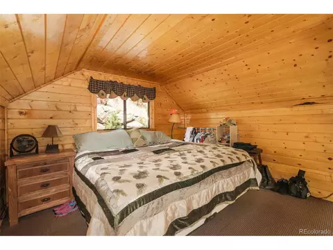 175 Gross Rd, Bailey, CO 80421 photo 12