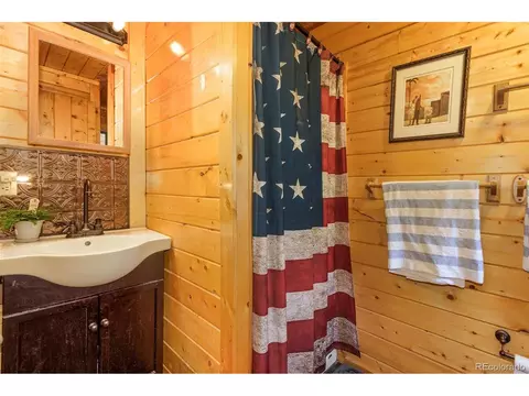 175 Gross Rd, Bailey, CO 80421 photo 15