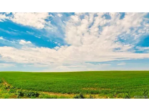 40505 County Rd 10, Bennett, CO 80102 photo 4