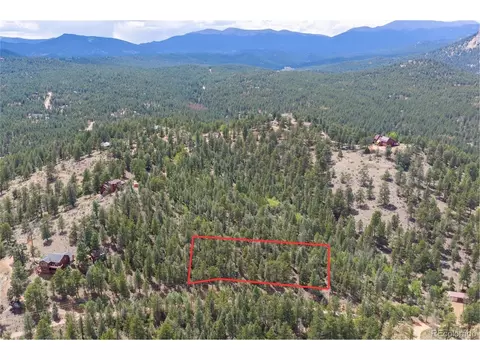 12397 S Cindy Ave, Pine, CO 80470 photo 4