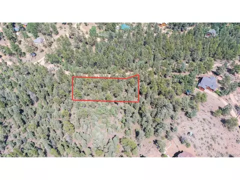 12397 S Cindy Ave, Pine, CO 80470 photo 8