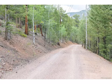 12397 S Cindy Ave, Pine, CO 80470 photo 3