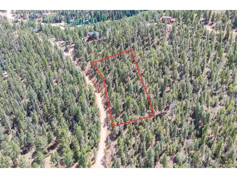 12397 S Cindy Ave, Pine, CO 80470 photo 6