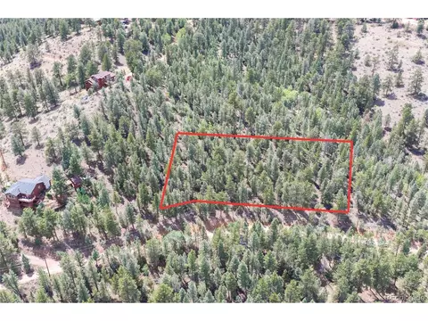 12397 S Cindy Ave, Pine, CO 80470 photo 5
