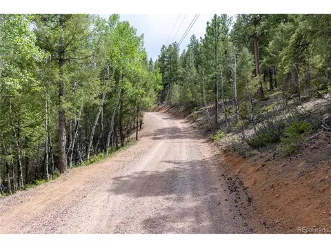 12397 S Cindy Ave, Pine, CO 80470 photo 2