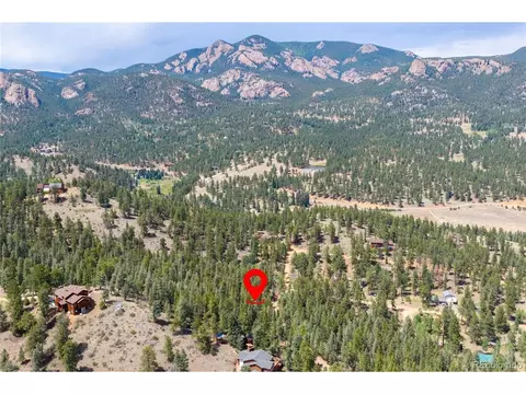 12397 S Cindy Ave, Pine, CO 80470 photo 1