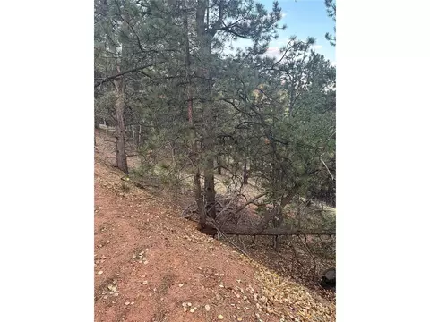418 Valley Rd, Divide, CO 80814 photo 2