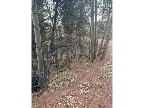 418 Valley Rd, Divide, CO 80814 photo 5