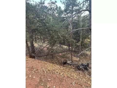 418 Valley Rd, Divide, CO 80814 photo 3