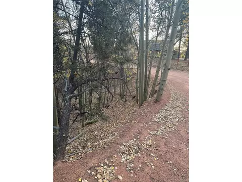 418 Valley Rd, Divide, CO 80814 photo 6
