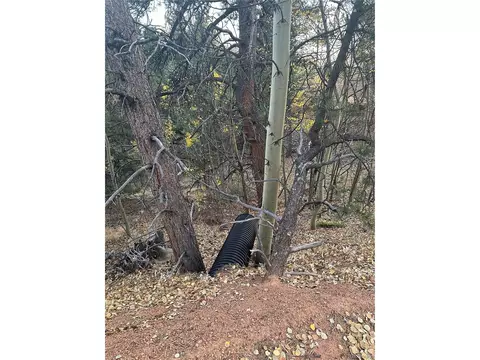 418 Valley Rd, Divide, CO 80814 photo 4