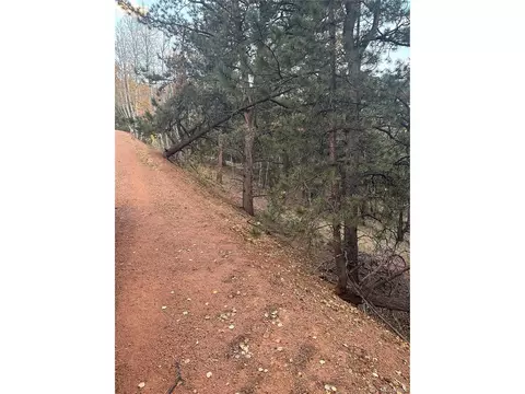 418 Valley Rd, Divide, CO 80814