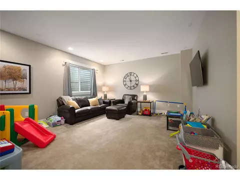 8499 E 54th Pl, Denver, CO 80238 photo 30