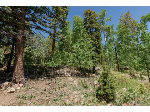 Exterior - 11682 Baca Rd, Conifer, CO 80433 photo 10 of 11