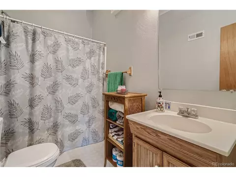 10654 Eudora Way, Thornton, CO 80233 photo 22
