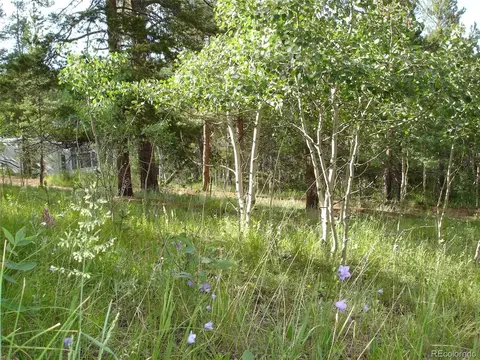 62 Phantom Creek Trl, Bailey, CO 80421 photo 27