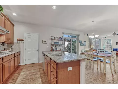 22011 E Idyllwilde Dr, Parker, CO 80138 photo 13
