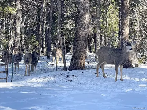 20153 Silver Ranch Rd, Conifer, CO 80433 photo 38