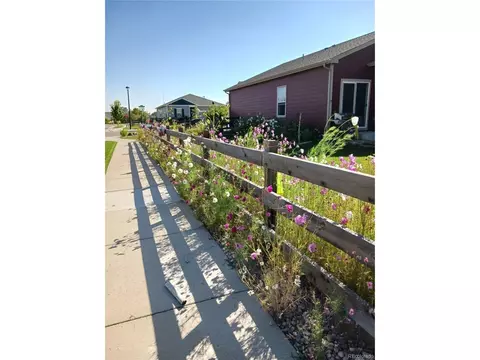 Exterior - 7002 Shavano Cir, Longmont, CO 80504 photo 3 of 5