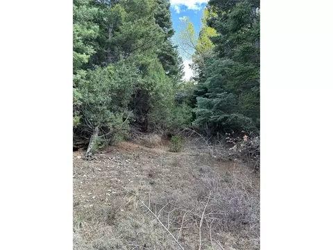 Tbd, Mosca, CO 81146 photo 8