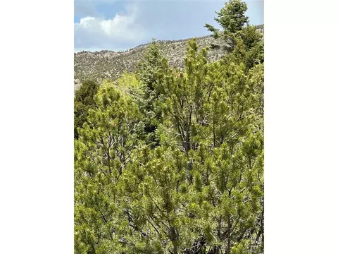 Tbd, Mosca, CO 81146 photo 3
